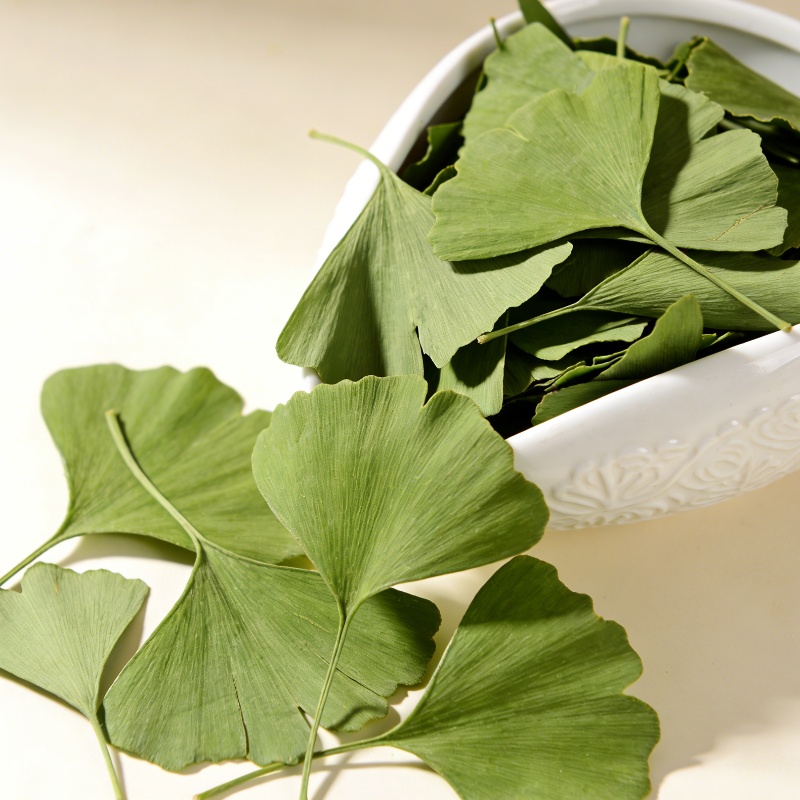 Gedroogde Ginkgo Biloba blader - Soap Making Essentials recensie en prijs